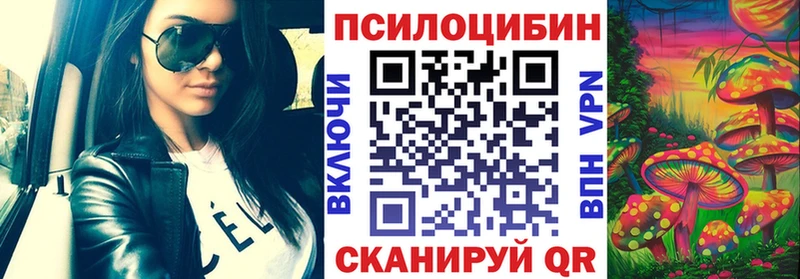 blacksprut ССЫЛКА Александровск Псилоцибиновые грибы Psilocybine cubensis